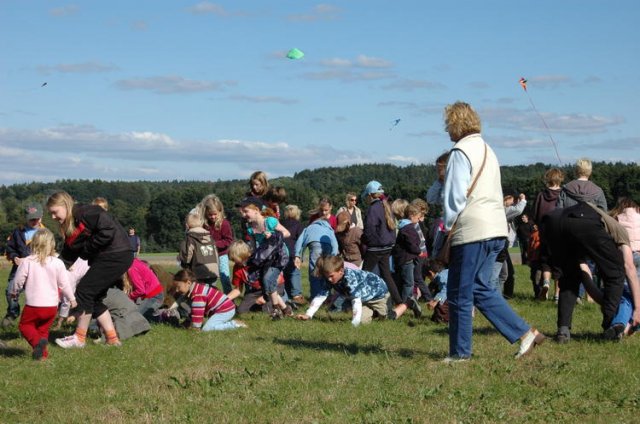 Drachenfest 2008